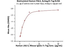 Immobilized Biotinylated Human FGL1, Avitag,Fc Tag (ABIN6923181,ABIN6938831) at 5 μg/mL (100 μL/well)on streptavidin  (2 μg/well) plate.