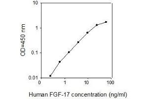 ELISA image for Fibroblast Growth Factor 17 (FGF17) ELISA Kit (ABIN2703008) (FGF17 ELISA Kit)