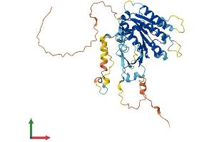 Protein Structure (PS) image for Elongator Acetyltransferase Complex Subunit 4 (ELP4) (AA 1-424) protein (His tag) (ABIN7547338)