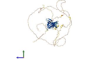 Protein Structure (PS) image for Disabled Homolog 1 (Drosophila) (DAB1) (AA 1-588) protein (His tag) (ABIN7546984)