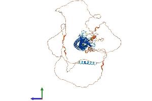 Protein Structure (PS) image for Junctophilin 3 (JPH3) (AA 1-748) protein (His tag) (ABIN7554215)
