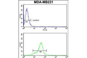 Flow cytometry analysis of MDA-MB231 cells (bottom histogram) compared to a negative control cell (top histogram). (AGPAT4 Antikörper  (AA 176-202))