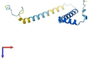 FAM32A Protein (AA 1-112) (His tag)
