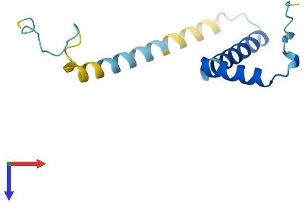 FAM32A Protein (AA 1-112) (His tag)