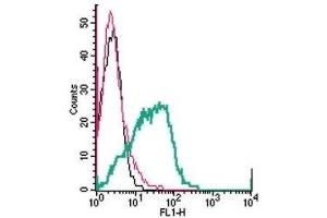 Cell surface detection of P2Y1 Receptor by direct flow cytometry in live intact human MEG-01 megakaryoblastic leukemia cells: (black line) Cells. (P2RY1 Antikörper  (Extracellular, Loop 2) (FITC))