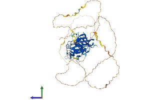 Protein Structure (PS) image for SH3-Domain Binding Protein 2 (SH3BP2) (AA 1-561) protein (His tag) (ABIN7551864)