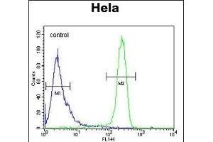 EFTUD1 Antibody (C-term) (ABIN654331 and ABIN2844107) flow cytometric analysis of Hela cells (right histogram) compared to a negative control cell (left histogram). (EFTUD1 Antikörper  (C-Term))