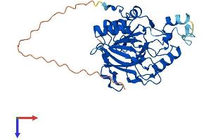 MPPED1 Protein (AA 1-326) (His tag)