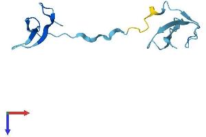POLR3K Protein (AA 1-108) (His tag)