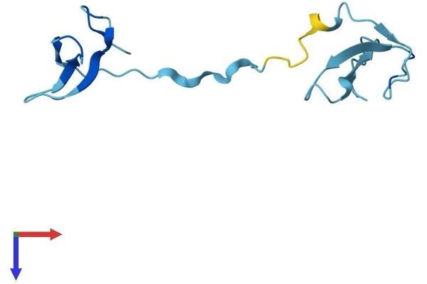 POLR3K Protein (AA 1-108) (His tag)