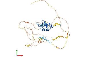 Protein Structure (PS) image for Forkhead Box B2 (FOXB2) (AA 1-432) protein (His tag) (ABIN7547827)