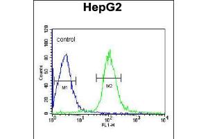 Flow cytometric analysis of HepG2 cells (right histogram) compared to a negative control cell (left histogram). (MGST2 Antikörper  (C-Term))