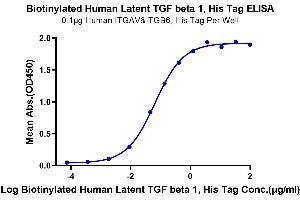 Immobilized Human ITGAV&ITGB6, His Tag at 1 μg/mL (100 μL/Well) on the plate. (Latent TGF-beta 1 (AA 30-390) protein (His-Avi Tag,Biotin))