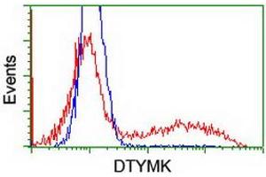 Image no. 6 for anti-Deoxythymidylate Kinase (Thymidylate Kinase) (DTYMK) antibody (ABIN1497918) (DTYMK Antikörper)
