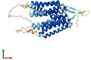 Protein Structure (PS) image for G Protein-Coupled Receptor 172B (GPR172B) (AA 1-448) protein (His tag) (ABIN7551655)