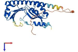 TYW3 Protein (AA 1-257) (His tag)