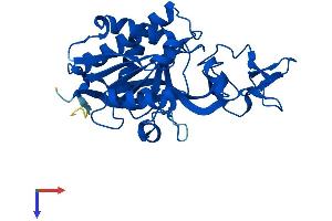 ASPA Protein (AA 1-313) (His tag)