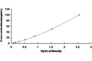 Typical standard curve (Ubiquilin 2 ELISA Kit)