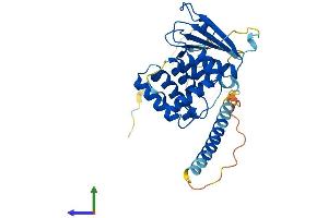 Protein Structure (PS) image for Aminoacyl tRNA Synthetase Complex-Interacting Multifunctional Protein 2 (AIMP2) (AA 1-320) protein (His tag) (ABIN7551963)
