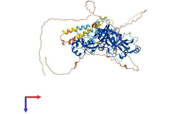 L3MBTL2 Protein (AA 1-705) (His tag)