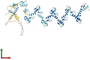 Protein Structure (PS) image for Zinc Finger Protein 14 Homolog (ZFP14) (AA 1-642) protein (His tag) (ABIN7545506)