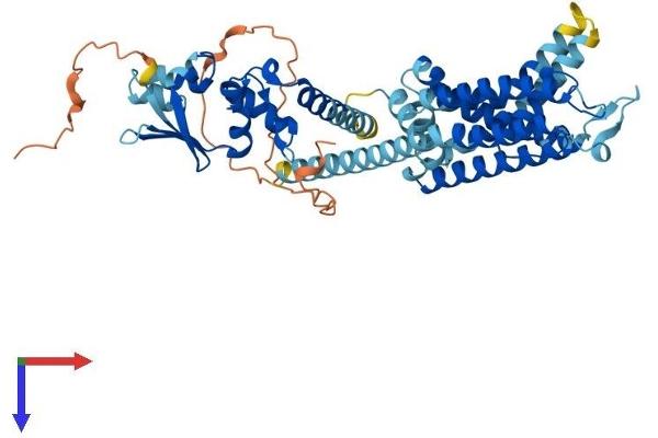 KCNF1 Protein (AA 1-493) (His tag)