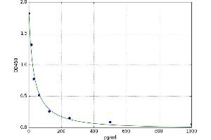 8-Epi-Prostaglandin F2a (8-Epi-PGF2a) ELISA Kit