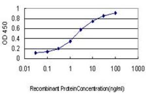 Detection limit for recombinant GST tagged TUBB4B is approximately 0. (TUBB2C Antikörper  (AA 1-445))