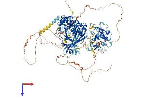 KDM4B Protein (AA 1-1096) (His tag)
