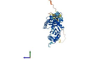 Protein Structure (PS) image for Oligonucleotide/oligosaccharide-Binding Fold Containing 1 (OBFC1) (AA 1-368) protein (His tag) (ABIN7555663)