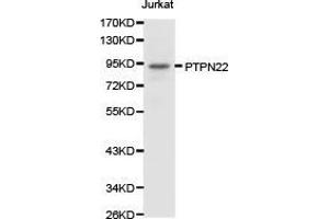Western Blotting (WB) image for anti-Tyrosine-Protein Phosphatase Non-Receptor Type 22 (PTPN22) antibody (ABIN1874452)