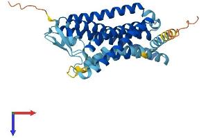 AlphaFold protein structure predicition of Human Recombinant OR5D16 Protein, UniprotID Q8NGK9 (OR5D16 Protein (AA 1-328) (His tag))