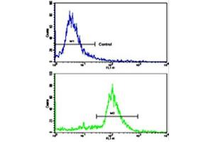Flow cytometric analysis of ATDC5 cells using ALDH6A1 polyclonal antibody (bottom histogram) compared to a negative control cell (top histogram). (ALDH6A1 Antikörper  (N-Term))