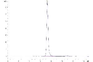 Size-exclusion chromatography-High Pressure Liquid Chromatography (SEC-HPLC) image for Intercellular Adhesion Molecule 1 (ICAM1) (AA 28-485) protein (His tag) (ABIN7274836)