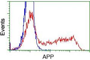 Image no. 1 for anti-Amyloid beta (A4) Precursor Protein (APP) antibody (ABIN1496875) (APP Antikörper)