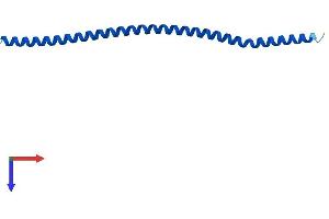AlphaFold protein structure predicition of Human Recombinant CROCCP2 Protein, UniprotID Q86T23