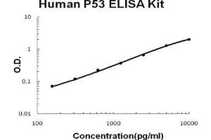 Human P53 PicoKine ELISA Kit standard curve