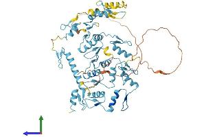 Protein Structure (PS) image for Replication Initiator 1 (REPIN1) (AA 1-545) protein (His tag) (ABIN7557564)