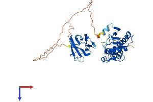 Aprataxin Protein (APTX) (AA 1-356) (His tag)