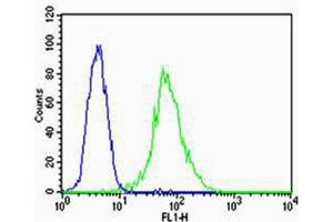 Flow cytometric analysis of HUVEC cells using VEGFR3(green, Cat (ABIN1882290 and ABIN2843609)) compared to an isotype control of mouse IgG2a(blue). (FLT4 Antikörper  (AA 1-439))