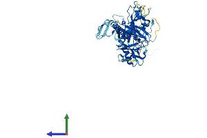 Protein Structure (PS) image for Transmembrane Protease, serine 4 (TMPRSS4) (AA 1-435) protein (His tag) (ABIN7559807)