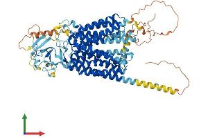 AlphaFold protein structure predicition of Human Recombinant SLCO1C1 Protein, UniprotID Q9NYB5