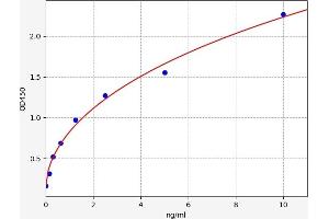 serine (Or Cysteine) Peptidase Inhibitor, Clade A, Member 3G (Serpina3g) ELISA Kit