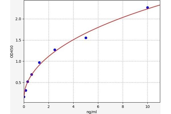 serine (Or Cysteine) Peptidase Inhibitor, Clade A, Member 3G (Serpina3g) ELISA Kit