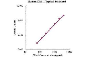 ELISA image for Dickkopf Homolog 1 (DKK1) ELISA Kit (ABIN3198421)