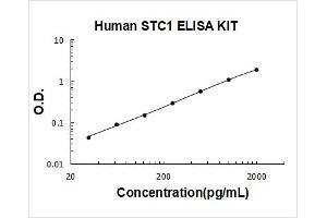 Human Stanniocalcin 1/STC1 PicoKine ELISA Kit standard curve