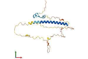 Protein Structure (PS) image for Chromosome 1 Open Reading Frame 190 (C1orf190) (AA 1-239) protein (His tag) (ABIN7561045)