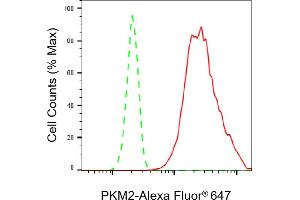 Flow cytometric analysis of PKM2 expression in HT- cells using PKM2 antibody (ABIN7800085), 1:2,000).