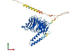 Protein Structure (PS) image for Transducin (Beta)-Like 2 (TBL2) (AA 1-442) protein (His tag) (ABIN7556182)