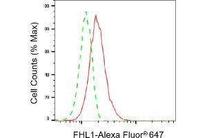 anti-Four and A Half LIM Domains 1 (FHL1) antibody